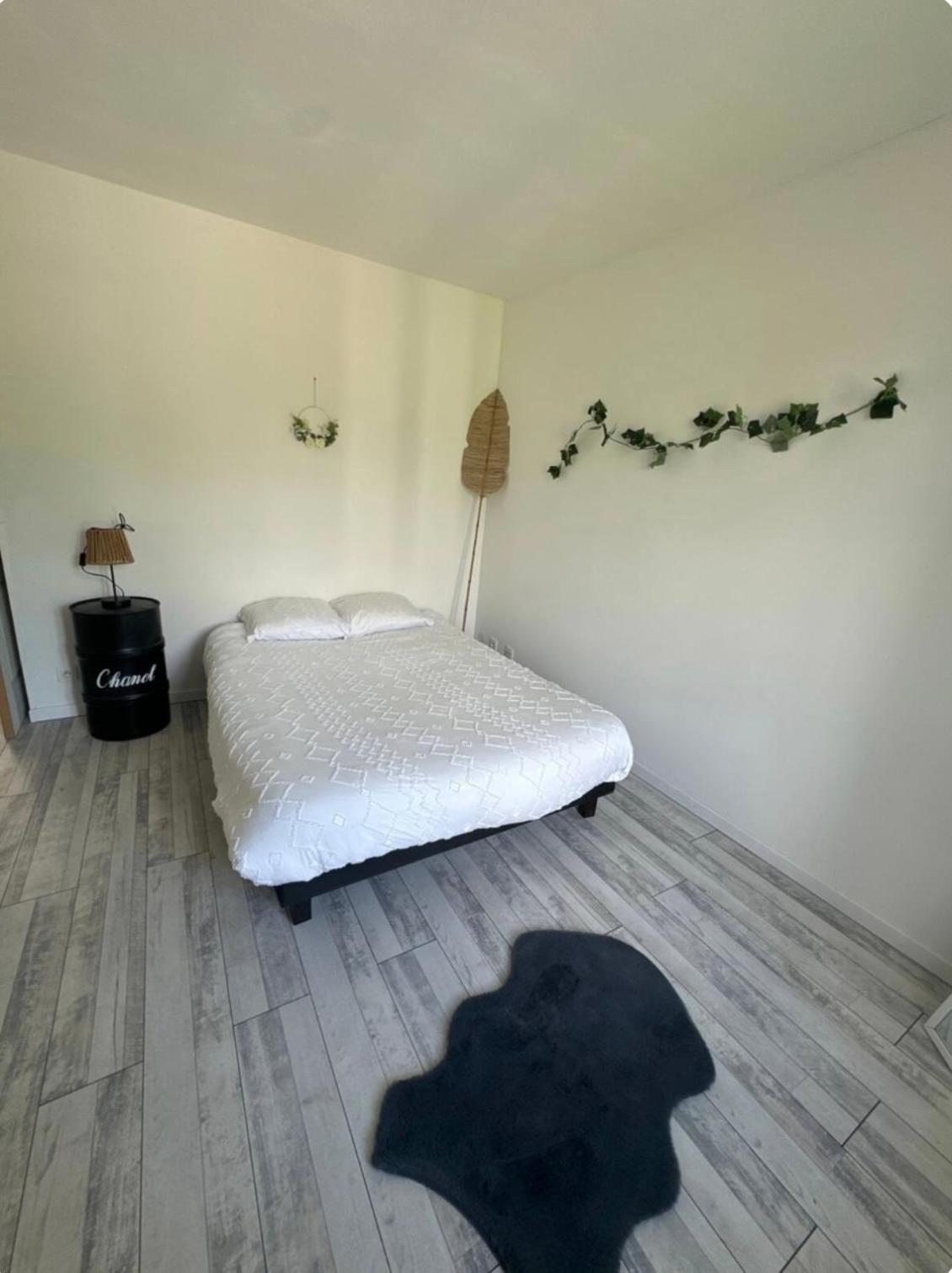T3 Apartment Marseillette